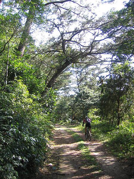 IMG_0046.jpg IMG_0046.jpg