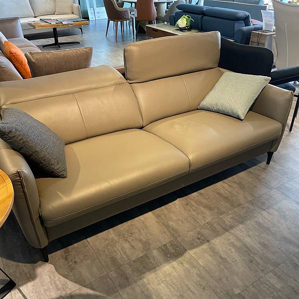 【購物】桃園家具,大漢家具貓抓布、Nappa牛皮電動沙發參觀