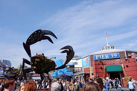 DSC04392.jpg DSC04392.jpg