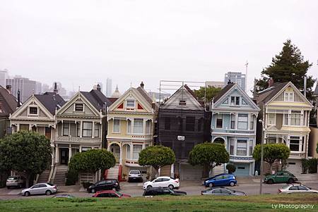 DSC05231.jpg DSC05231.jpg