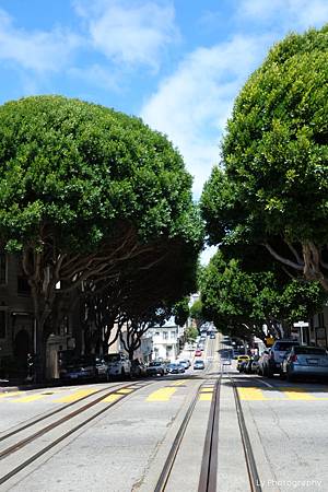 DSC05570.jpg DSC05570.jpg