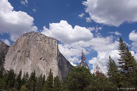 DSC06251.jpg DSC06251.jpg