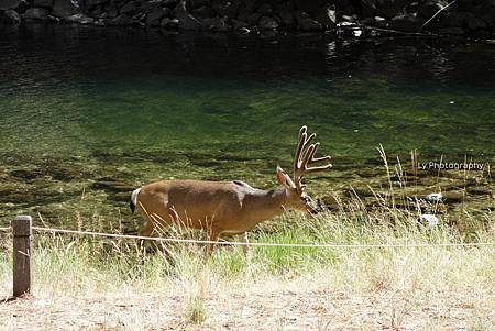 DSC06340.jpg DSC06340.jpg