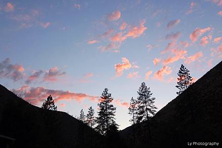 DSC06598.jpg DSC06598.jpg