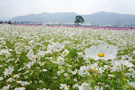 DSC08248_.jpg