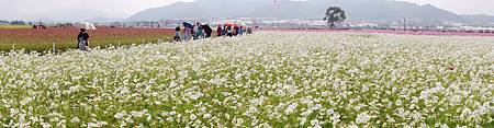 DSC08254_.jpg