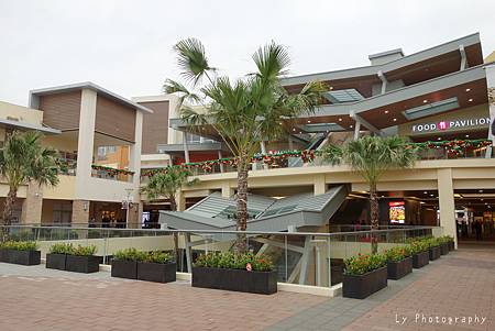 DSC09379_.jpg
