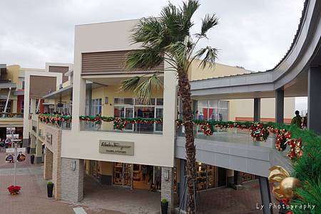 DSC09514_.jpg