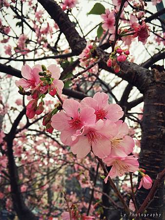 相片 2016-2-23 18 47 47.jpg 相片 2016-2-23 18 47 47.jpg