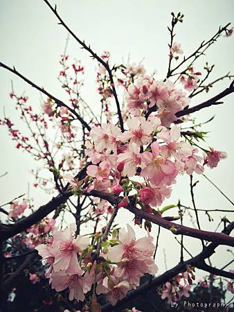 相片 2016-2-23 18 51 22.jpg 相片 2016-2-23 18 51 22.jpg