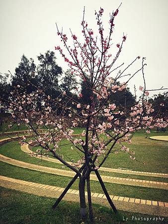 相片 2016-2-23 18 50 22.jpg 相片 2016-2-23 18 50 22.jpg