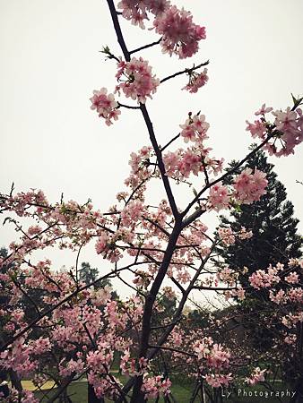 相片 2016-2-23 18 54 29.jpg 相片 2016-2-23 18 54 29.jpg