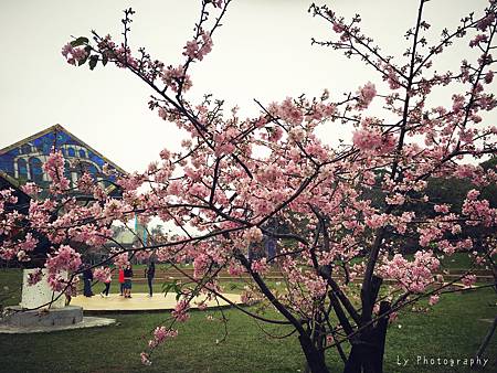 相片 2016-2-23 18 55 39.jpg 相片 2016-2-23 18 55 39.jpg