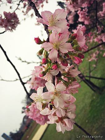 相片 2016-2-23 18 56 54.jpg 相片 2016-2-23 18 56 54.jpg