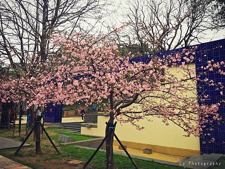 相片 2016-2-23 19 01 45.jpg 相片 2016-2-23 19 01 45.jpg