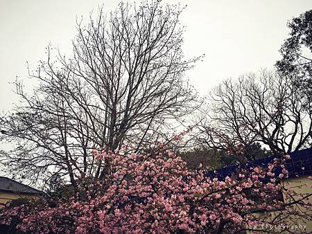 相片 2016-2-23 19 00 23.jpg 相片 2016-2-23 19 00 23.jpg