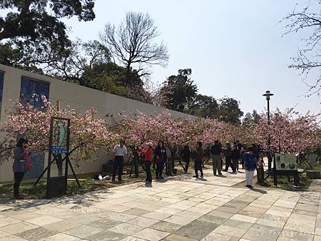 相片 2016-3-2 20 41 43_.jpg 相片 2016-3-2 20 41 43_.jpg