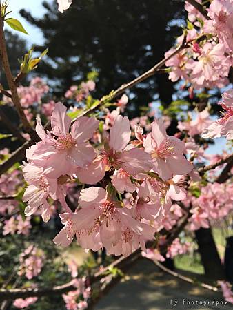 相片 2016-3-2 20 54 23_.jpg 相片 2016-3-2 20 54 23_.jpg