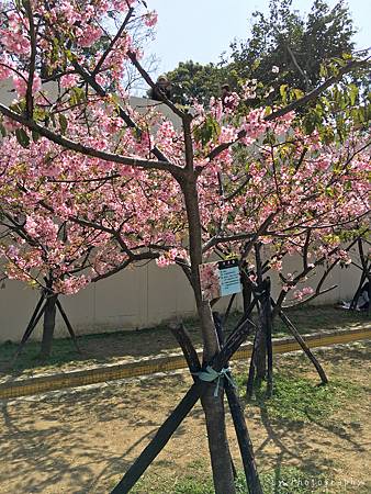 相片 2016-3-2 20 42 16_.jpg 相片 2016-3-2 20 42 16_.jpg