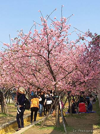 相片 2016-3-2 20 43 34_.jpg 相片 2016-3-2 20 43 34_.jpg