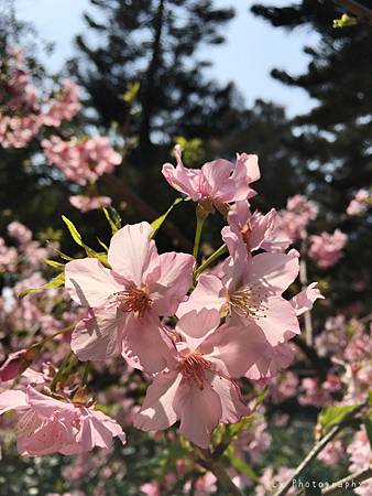 相片 2016-3-2 20 54 46_.jpg 相片 2016-3-2 20 54 46_.jpg