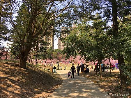 相片 2016-3-2 20 53 46_.jpg 相片 2016-3-2 20 53 46_.jpg