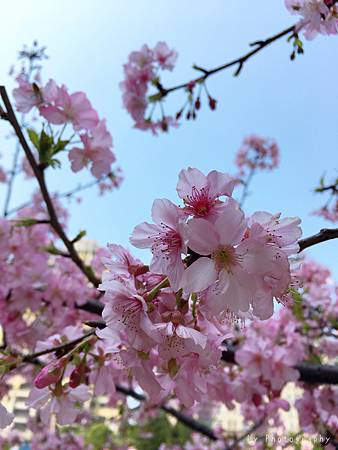 相片 2016-3-2 20 59 04_.jpg 相片 2016-3-2 20 59 04_.jpg