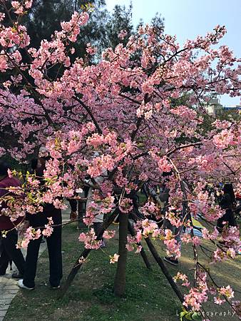 相片 2016-3-2 20 55 33_.jpg 相片 2016-3-2 20 55 33_.jpg