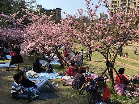 相片 2016-3-2 20 57 18_.jpg 相片 2016-3-2 20 57 18_.jpg