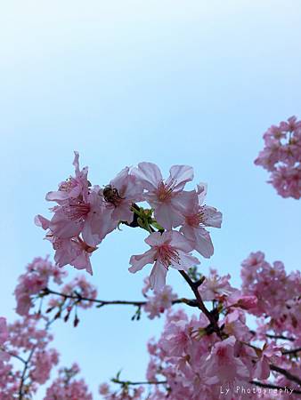 相片 2016-3-2 21 00 38_.jpg 相片 2016-3-2 21 00 38_.jpg