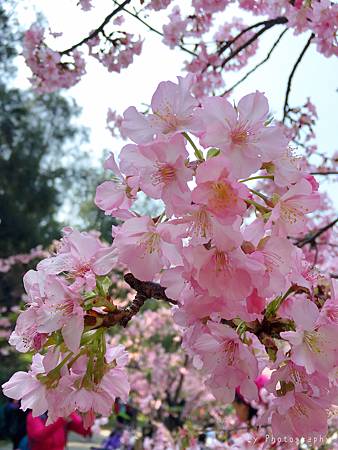 相片 2016-3-2 21 02 06_.jpg 相片 2016-3-2 21 02 06_.jpg