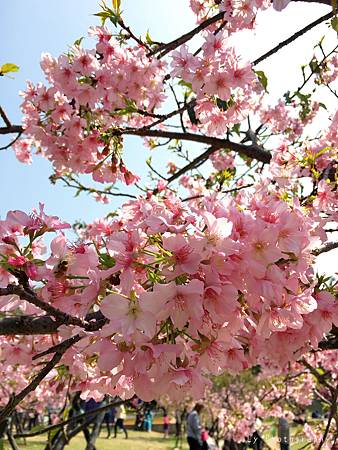 相片 2016-3-2 21 07 55_.jpg 相片 2016-3-2 21 07 55_.jpg