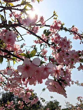 相片 2016-3-2 21 11 30_.jpg 相片 2016-3-2 21 11 30_.jpg
