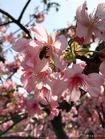 相片 2016-3-2 21 14 10_.jpg 相片 2016-3-2 21 14 10_.jpg