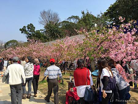 相片 2016-3-2 21 16 44_.jpg 相片 2016-3-2 21 16 44_.jpg