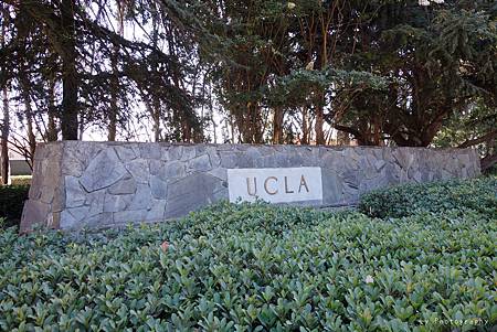 DSC07978_.jpg DSC07978_.jpg