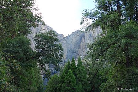DSC06467_.jpg DSC06467_.jpg