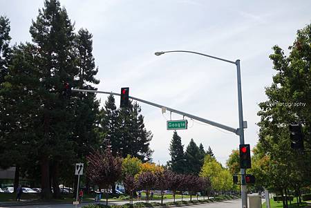 DSC06720_.jpg DSC06720_.jpg