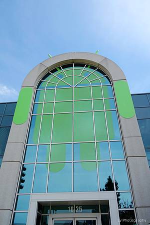 DSC06735_.jpg DSC06735_.jpg