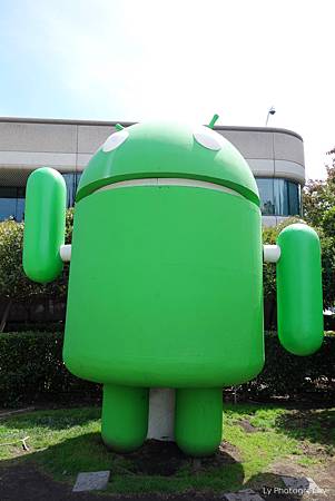 DSC06739_.jpg DSC06739_.jpg