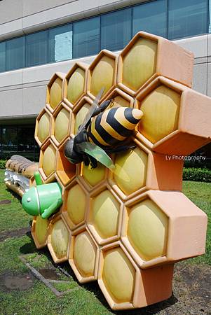 DSC06737_.jpg DSC06737_.jpg