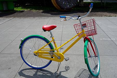 DSC06749_.jpg DSC06749_.jpg