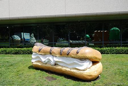 DSC06751_.jpg DSC06751_.jpg