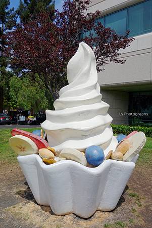 DSC06756_.jpg DSC06756_.jpg