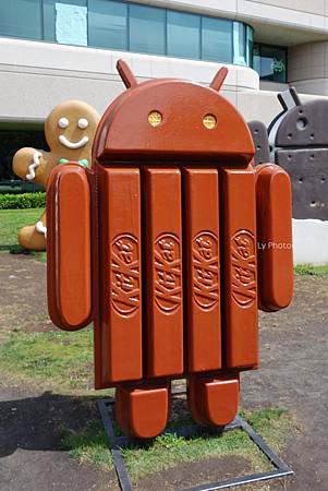 DSC06763_.jpg DSC06763_.jpg