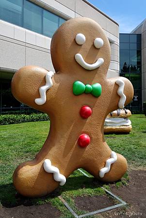 DSC06753_.jpg DSC06753_.jpg