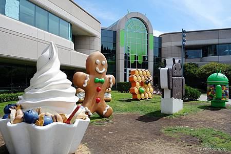 DSC06760_.jpg DSC06760_.jpg