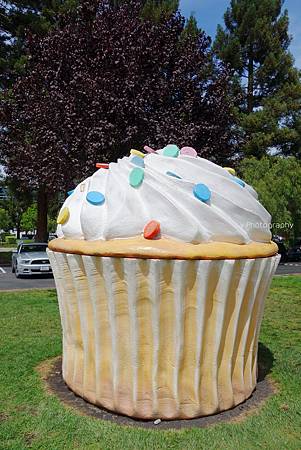 DSC06757_.jpg DSC06757_.jpg