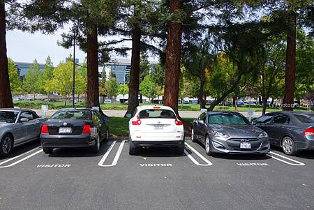 DSC06774_.jpg DSC06774_.jpg