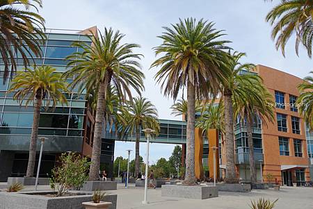 DSC06800_.jpg DSC06800_.jpg